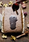Gâteau au chocolat à la noix de coco — Photo de stock