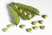 Rohe grüne Saubohnen — Stockfoto