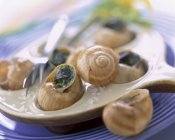 Assiette d'escargots saupoudrée de persil sur une assiette violette — Photo de stock