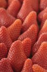 Morangos vermelhos maduros — Fotografia de Stock