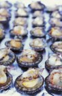 Closeup view of scallops with Thai sauce — Stock Photo