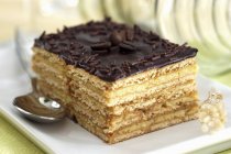 Chocolate sponge cake — Stock Photo