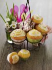 Cupcakes au citron dans le stand de gâteau — Photo de stock