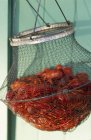 Vue rapprochée des prises de crabes dans le panier métallique — Photo de stock