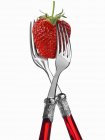 Closeup view of two forks with strawberry — Stock Photo