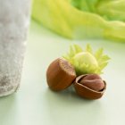 Сушеные и зеленые орехи — стоковое фото