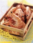 Prawns in small wooden crate — Stock Photo