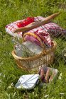 Picknickkorb im Gras — Stockfoto