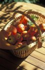 Basket of fresh picked nectarines — Stock Photo
