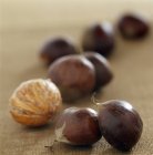 Whole dried Chestnuts — Stock Photo
