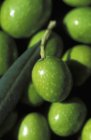 Grüne Oliven mit Blatt — Stockfoto