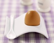 Brown Boiled egg — Stock Photo