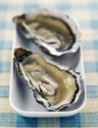 Fresh oysters in plate — Stock Photo