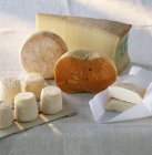Вибір різних сирів — стокове фото