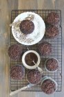Chocolate muffins on cooling tray — Stock Photo