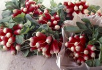 Des grappes fraîches de radis — Photo de stock