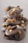 Cioccolato fondente e biscotti alla frutta secca — Foto stock