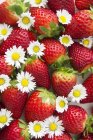 Frische Erdbeeren und Gänseblümchen — Stockfoto