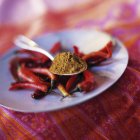 Closeup view of curry powder on spoon over chilli peppers on plate — Stock Photo