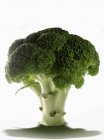 Brócoli fresco maduro - foto de stock