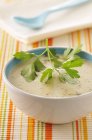 Суп з цвітної капусти в мисці — стокове фото