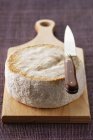 Tomme de Lozre cheese — стокове фото