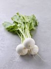 White beets with leaves — Stock Photo