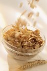 Ciotola di fiocchi di cereali — Foto stock