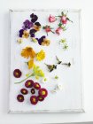 Top view of assorted edible flowers on a white wooden board — Stock Photo