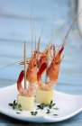 Mini comt shrimp — Stock Photo