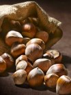 Sack of shelled hazelnuts — Stock Photo