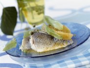 Sea bream fillets with lime blossom — Stock Photo