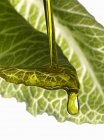 Olive oil dropping on lettuce leaf — Stock Photo