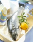 Fresh raw uncooked salmon — Stock Photo