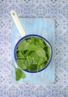 Fresh spinach in saucepan — Stock Photo
