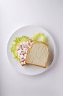 Sandwich de pastillas en el plato - foto de stock