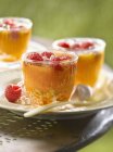 Stewed apricots with raspberries — Stock Photo