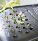 Reiben von Zucchinis auf verschwommenem Hintergrund — Stockfoto