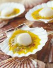 Closeup view of scallops with saffron on shells — Stock Photo