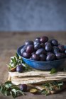 Fresh picked plums in bowl — Stock Photo
