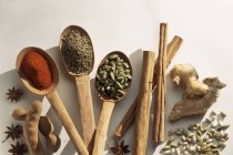 Closeup view of different spices and wooden spoons — Stock Photo