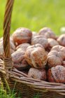 Корзина грецких орехов в траве — стоковое фото