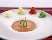 Gazpacho con verduras cortadas en cubitos - foto de stock