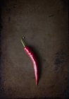 One Fresh Red Chili Pod on a Tray — Stock Photo