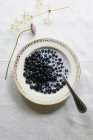 Blueberries with milk on plate — Stock Photo