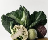 Variety of fresh cabbages — Stock Photo