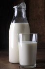 Botella y vaso de leche - foto de stock