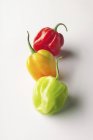 Fresh colorful habanero Peppers — Stock Photo