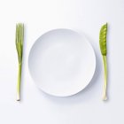 Piatto vuoto e verdure — Foto stock