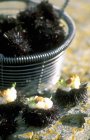 Vue rapprochée des oursins avec pétoncles par panier métallique — Photo de stock